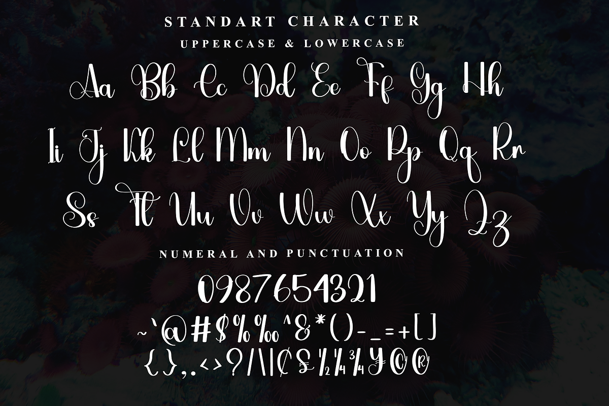 Burger, a Handwritten Font by InermediaSTUDIO (Photo 4 of 7)