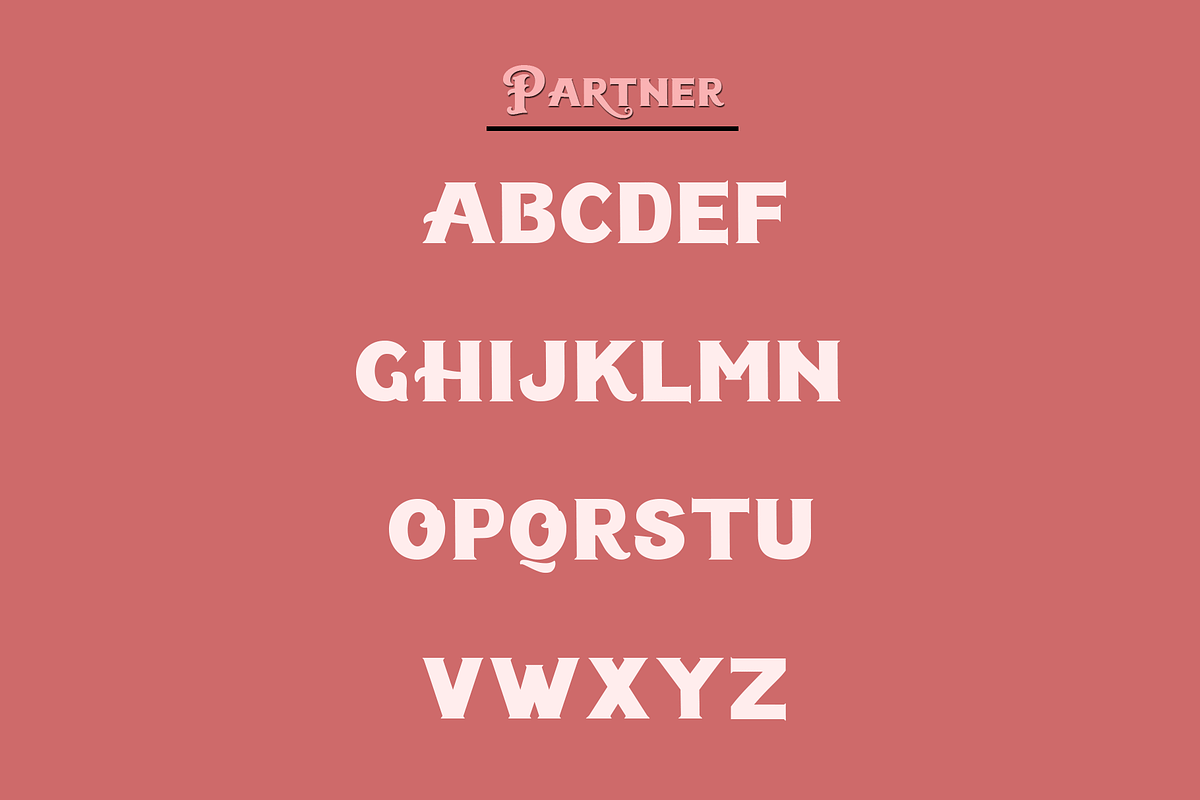 Partner | Serif, a Serif Font by Naqsya.Co (Photo 7 of 8)