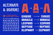 Eugene Sans Fonts Family, a Sans Serif Font by Asenbayu (Thumbnail 11 of 15)