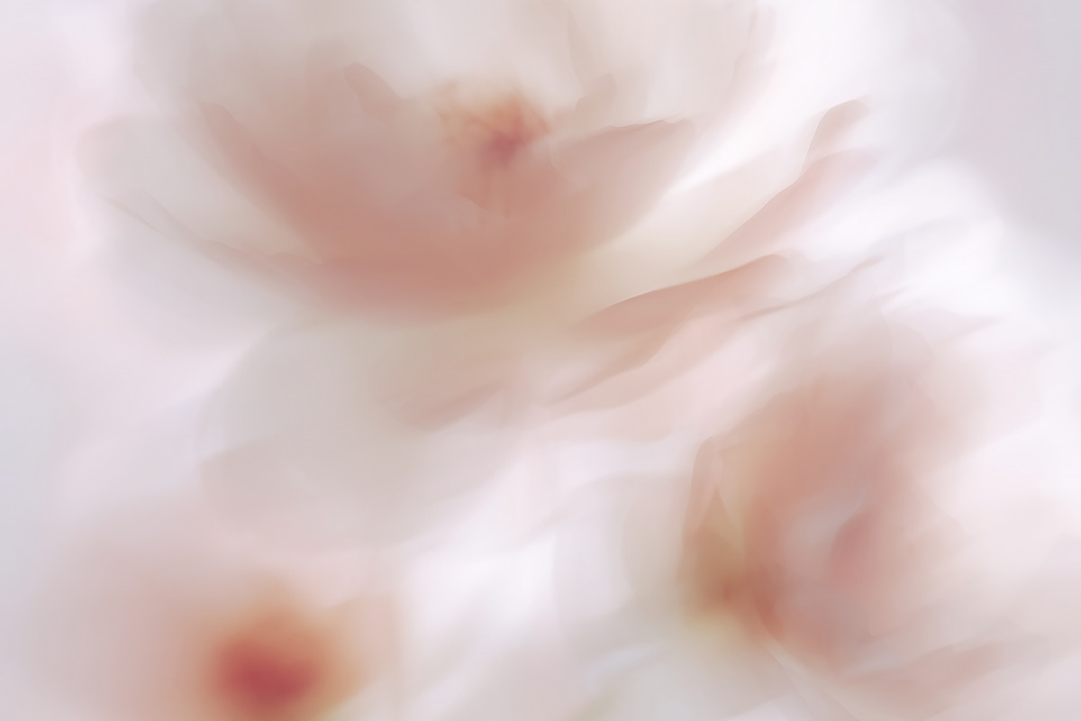 Ethereal Floral Backgrounds Bundle, an Abstract Photo by Allure Art (Photo 9 of 26)