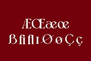 Luxafy Wetysh - Modern Luxury Font, a Serif Font by QR Design Studio (Thumbnail 23 of 27)
