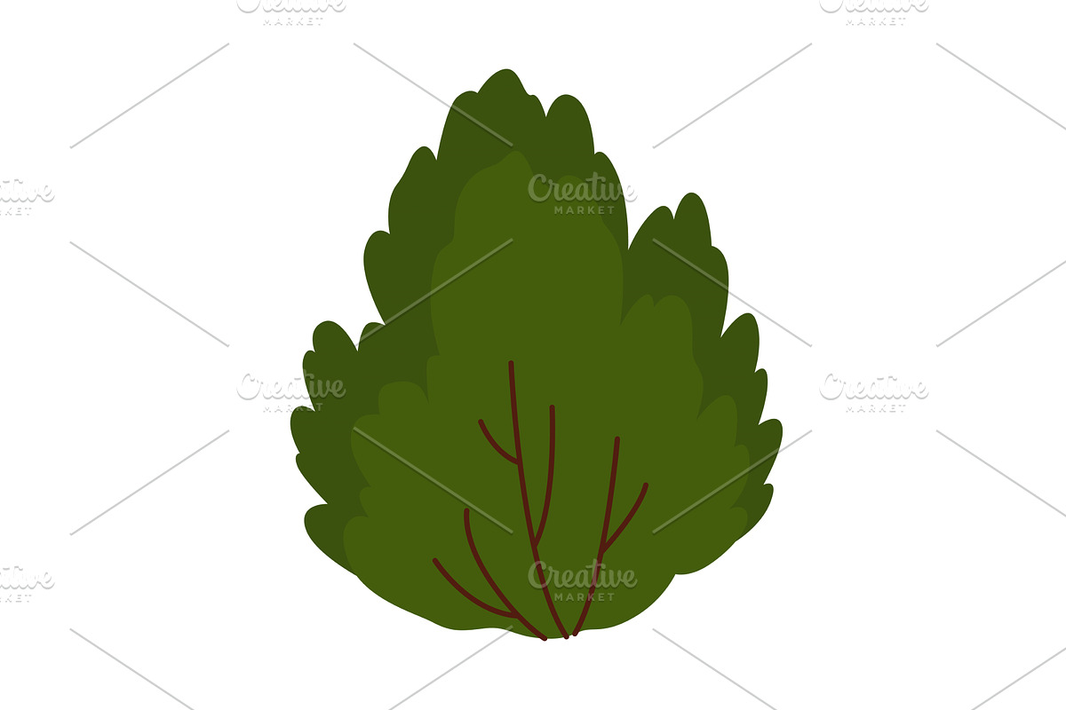 Bush icon. Deciduous plant, an Object Illustration by Things for designers