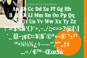 Rolling Basket Modern Retro Serif, a Serif Font by timelesstype.co (Thumbnail 18 of 20)