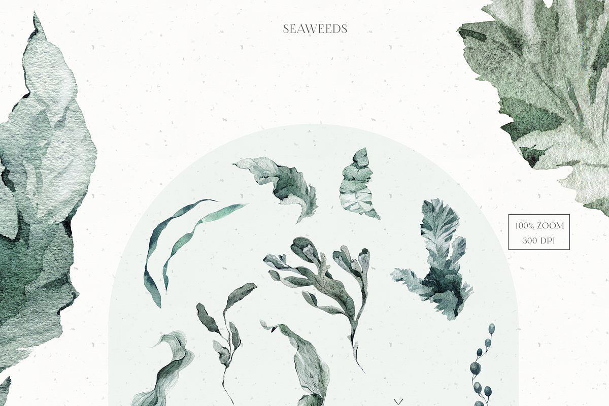 Underwater Watercolor Collection, an Animal Illustration by Cat In Colour (Photo 5 of 9)
