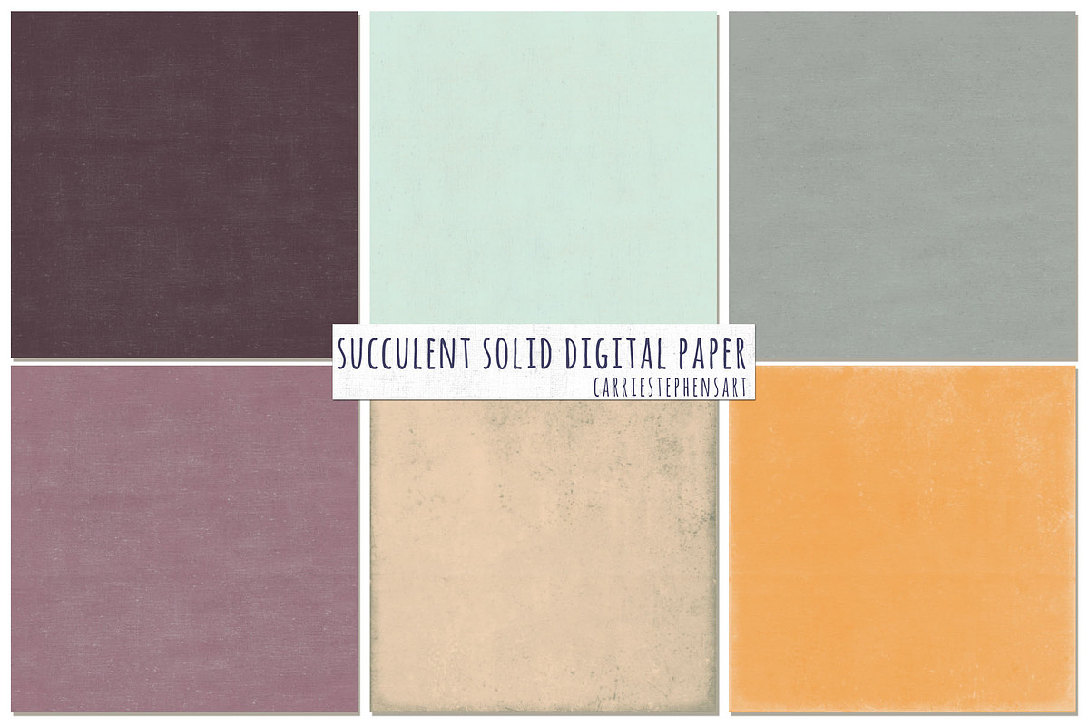 Succulent Solid Digital Backgrounds preview 3