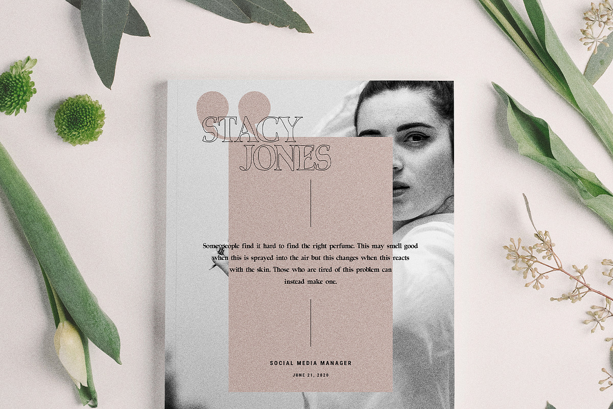 Lumière - Modern Display Serif Font, a Serif Font by SilverStag Type Foundry (Photo 13 of 15)