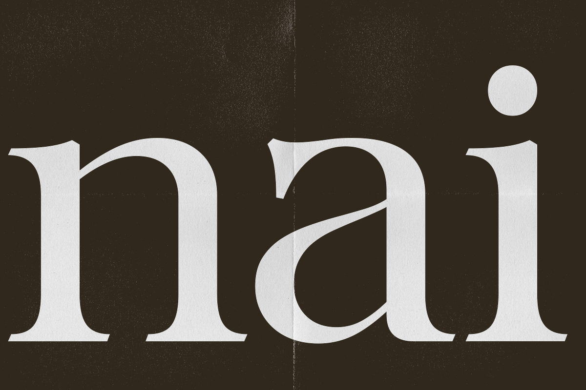 Tanflisc Essence | 12 Fonts, a Serif Font by Pista Mova (Photo 19 of 20)