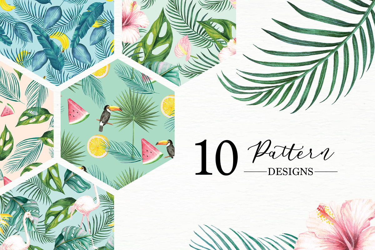 Tropical Collection, a Decorative Illustration by endita (Photo 2 of 14)