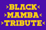 Toma Sunny Slab Serif Font, a Slab Serif Font by Storytype Studio (Thumbnail 11 of 11)