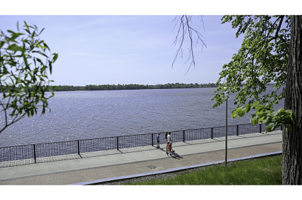 Experience a Serene Riverfront View, a Nature Photo by Media Whale Stock