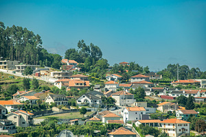 Cityscape of modern buildings near forest hills, an Architecture Photo by DanFLCreativo