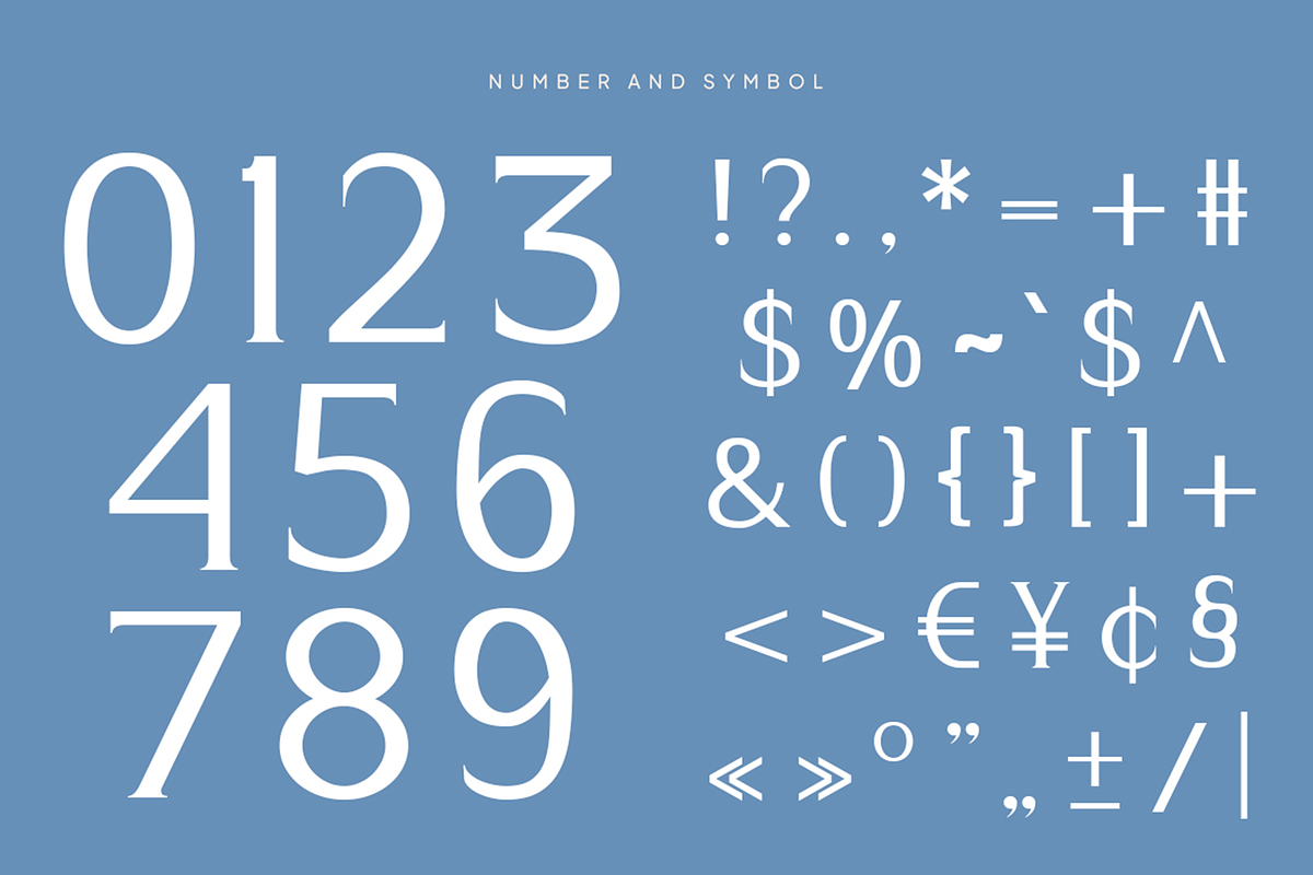Andore - Elegant Modern Serif Font, a Serif Font by Pekotype (Photo 4 of 15)