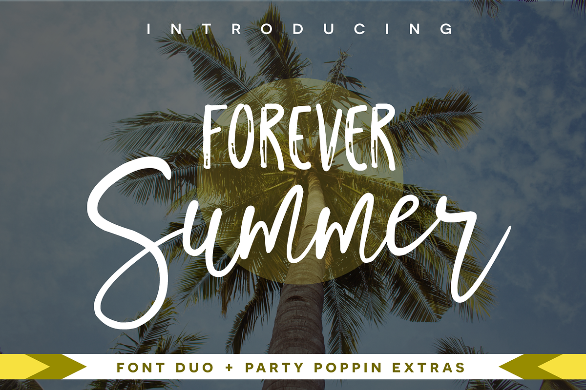 Premium Font Bundle, a Script Font by Flycatcher Design (Photo 20 of 140)