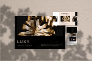 Luxy Stunning PowerPoint Pitch Deck, a Presentation Template by uiplus (Thumbnail 1 of 5)