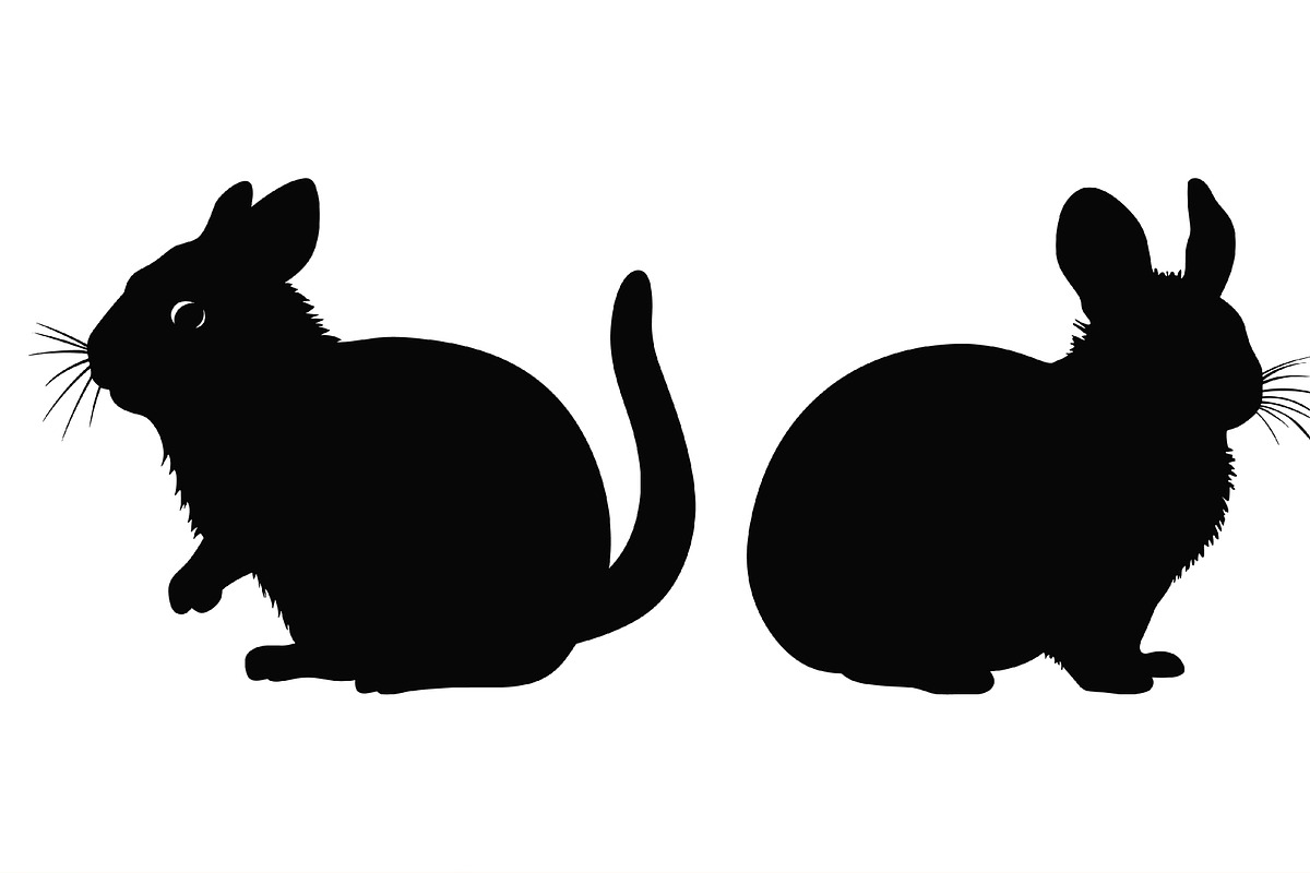 Chinchilla Animal Silhouettes Vector, an Animal Illustration by Gfx Expert Team (Photo 3 of 3)