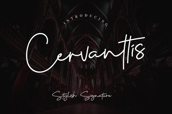 Cervanttis Signature Business Font preview 7
