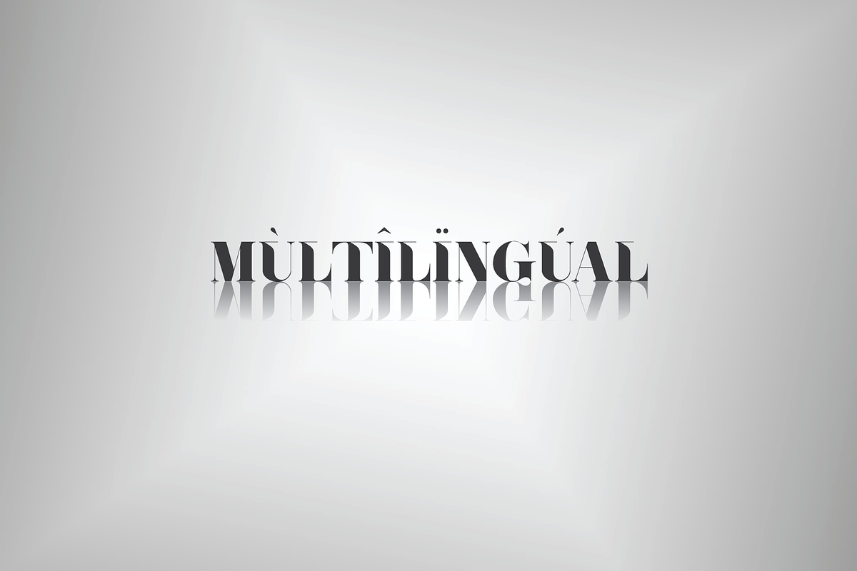 BAFALL, a Serif Font by jaffana.co (Photo 2 of 6)
