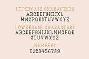Merry and Bright font, a Serif Font by Nyla.Studio (Thumbnail 7 of 9)
