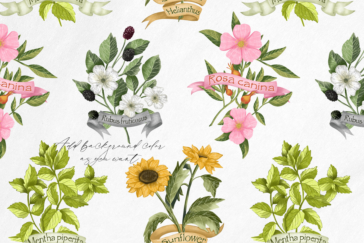 Tea time at the garden clipart set, a Decorative Illustration by Yelloo Fish (Photo 14 of 16)