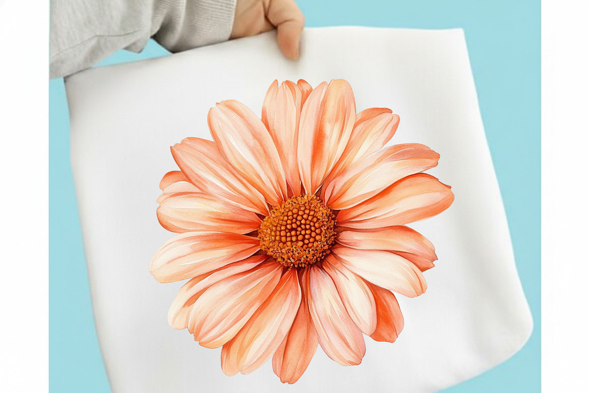 Watercolor Summer Daisy Clipart, an Illustration by designcity5 (Photo 4 of 5)
