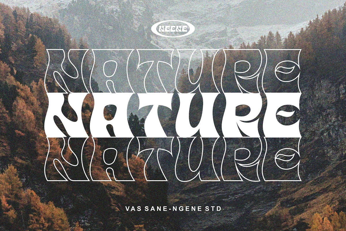 VAS SANE, a Font by ngene (Photo 6 of 7)