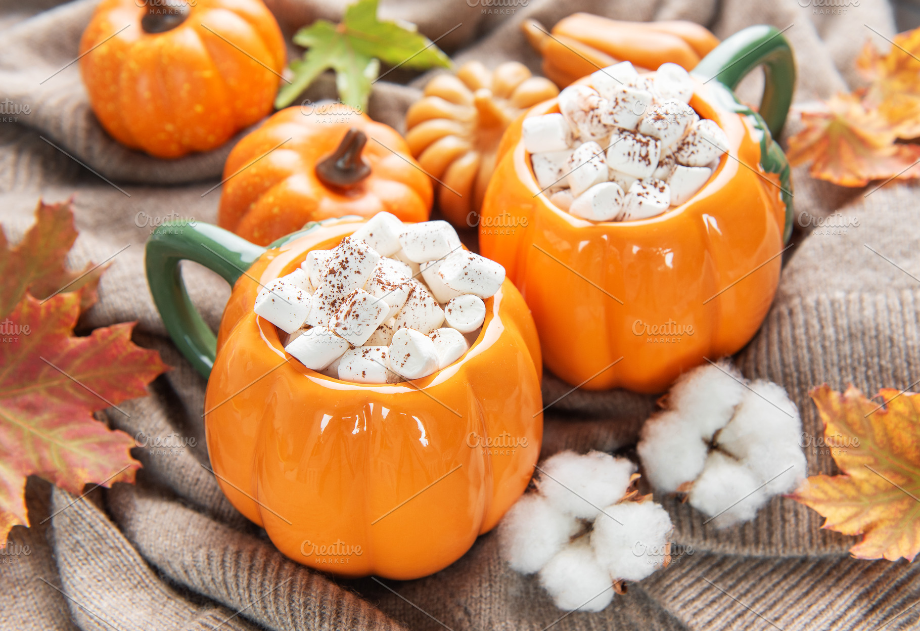 Warm hot chocolate in pumpkin mugs celebrating autumn, a Food & Drink Photo by Olena Rudo