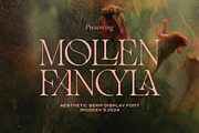 Mollen Fancyla Aesthetic Serif Font, a Serif Font by Imoodev (Thumbnail 1 of 6)