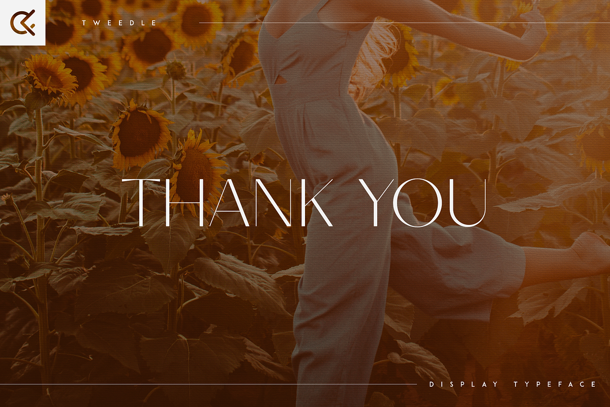 Tweedle - Display Typeface, a Serif Font by Only Fonts (Photo 10 of 10)