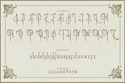 Victoriandeco, a Serif Font by Burntilldead (Thumbnail 3 of 5)