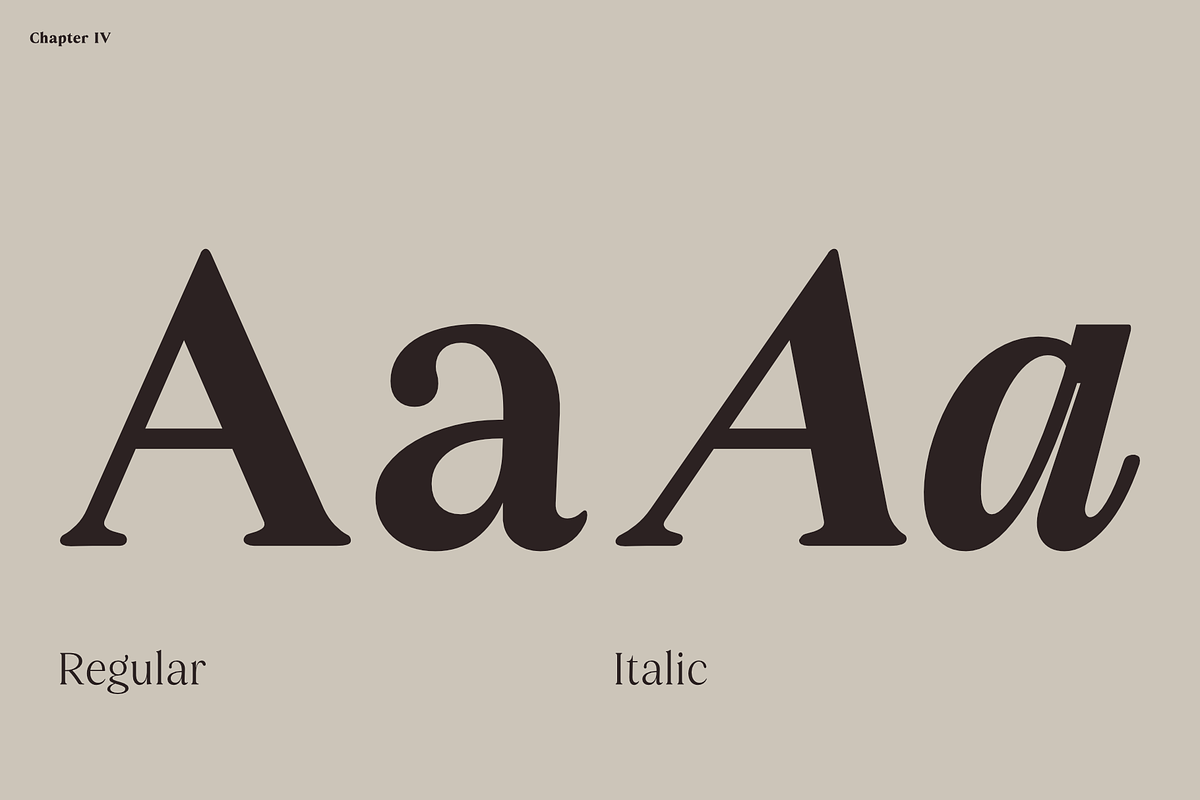 Boujee - Fancy Serif Typefamily, a Serif Font by Jehoo Creative (Photo 5 of 11)