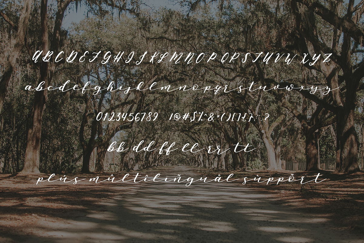 Oh Savannah Script, a Script Font by Beck McCormick (Photo 6 of 6)