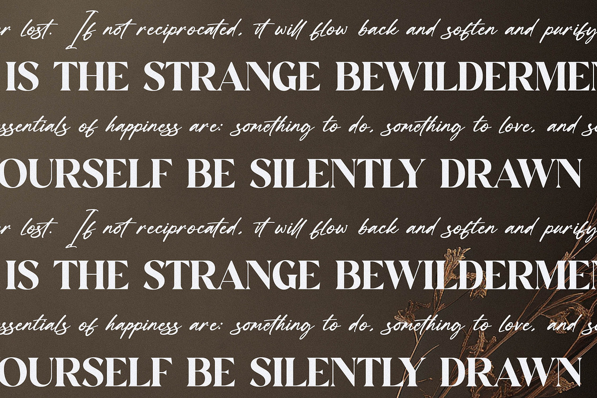 Hanfiye Guesterya Font Duo, a Serif Font by Storytype Studio (Photo 8 of 15)