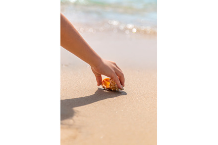 The child takes a seashell on the, a Person Photo by yanadjana
