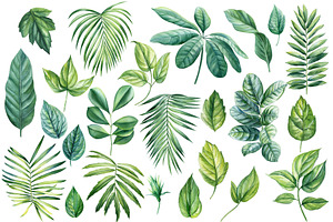 Tropical Green Plants Watercolor