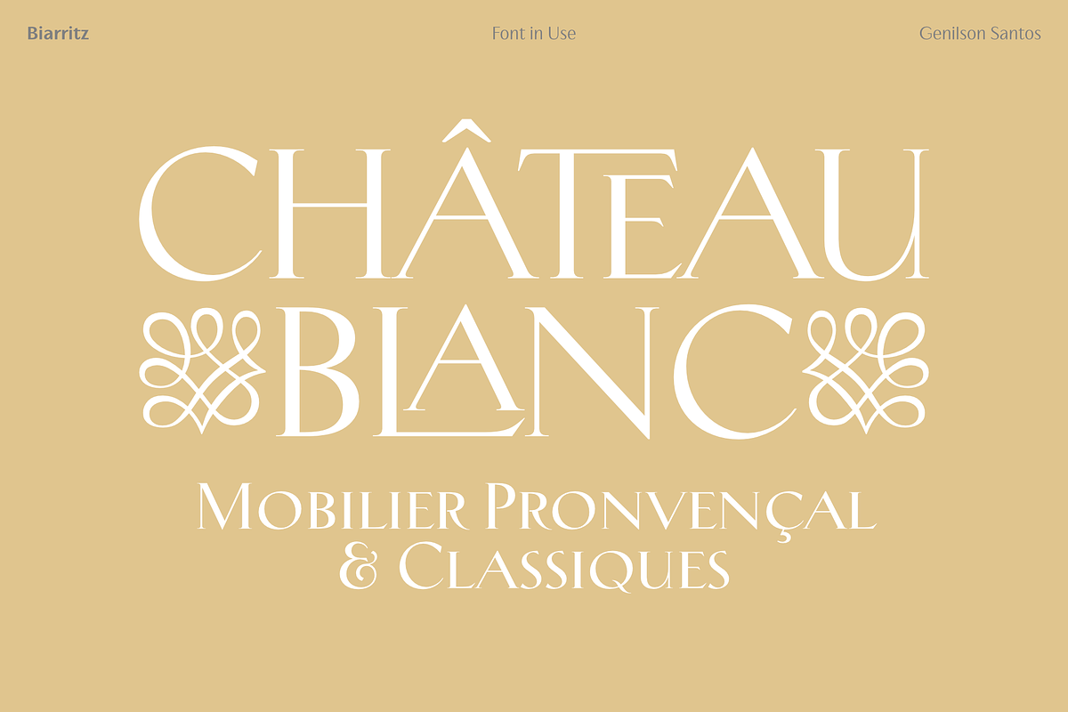 Biarritz Luxury Editorial Serif, a Serif Font by Genilson Santos (Photo 4 of 17)