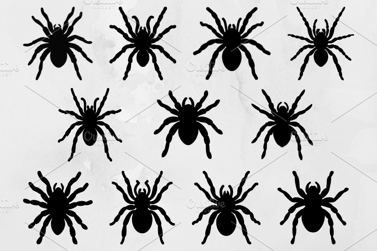 Tarantula Silhouette SVG, an Animal Illustration by newminddesign (Photo 1 of 10)