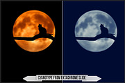 Authentic Cyanotype LUTs, a Plug-in Add-On by Raztrend (Thumbnail 31 of 32)