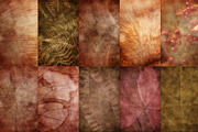 Faded Nature - Textured Backgrounds, a Background Graphic by Lidberia (Thumbnail 5 of 11)