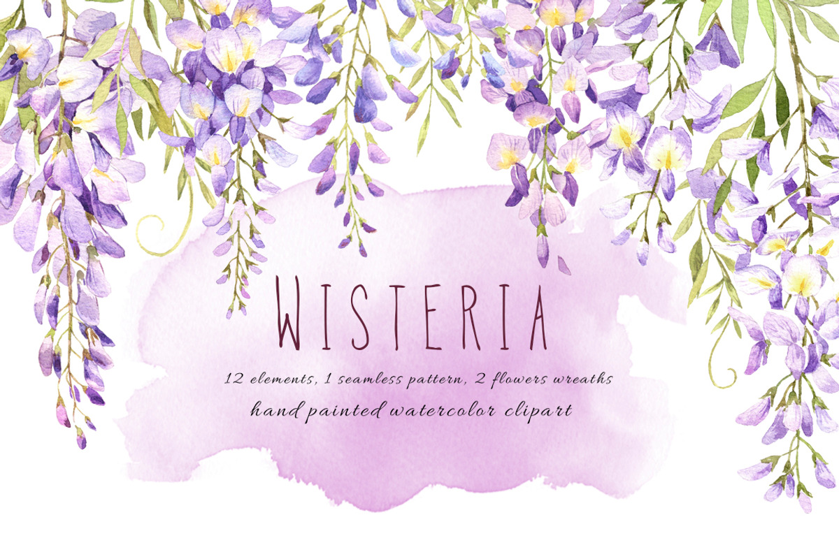 Wisteria watercolor set, an Illustration by PS_patterns (Photo 1 of 4)