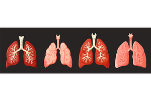 Cartoon lungs set. Isolated, an Illustration by Valerie Bodnar