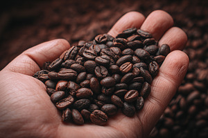 Close up of a hand holding freshly, a Food & Drink Photo by MistyDay