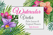 Vector Watercolor Tropical set, a Decorative Illustration by Bigio Designs (Thumbnail 1 of 4)