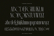 Vagesha Rolenda - Fancy Serif, a Serif Font by Arterfak Project (Thumbnail 14 of 15)