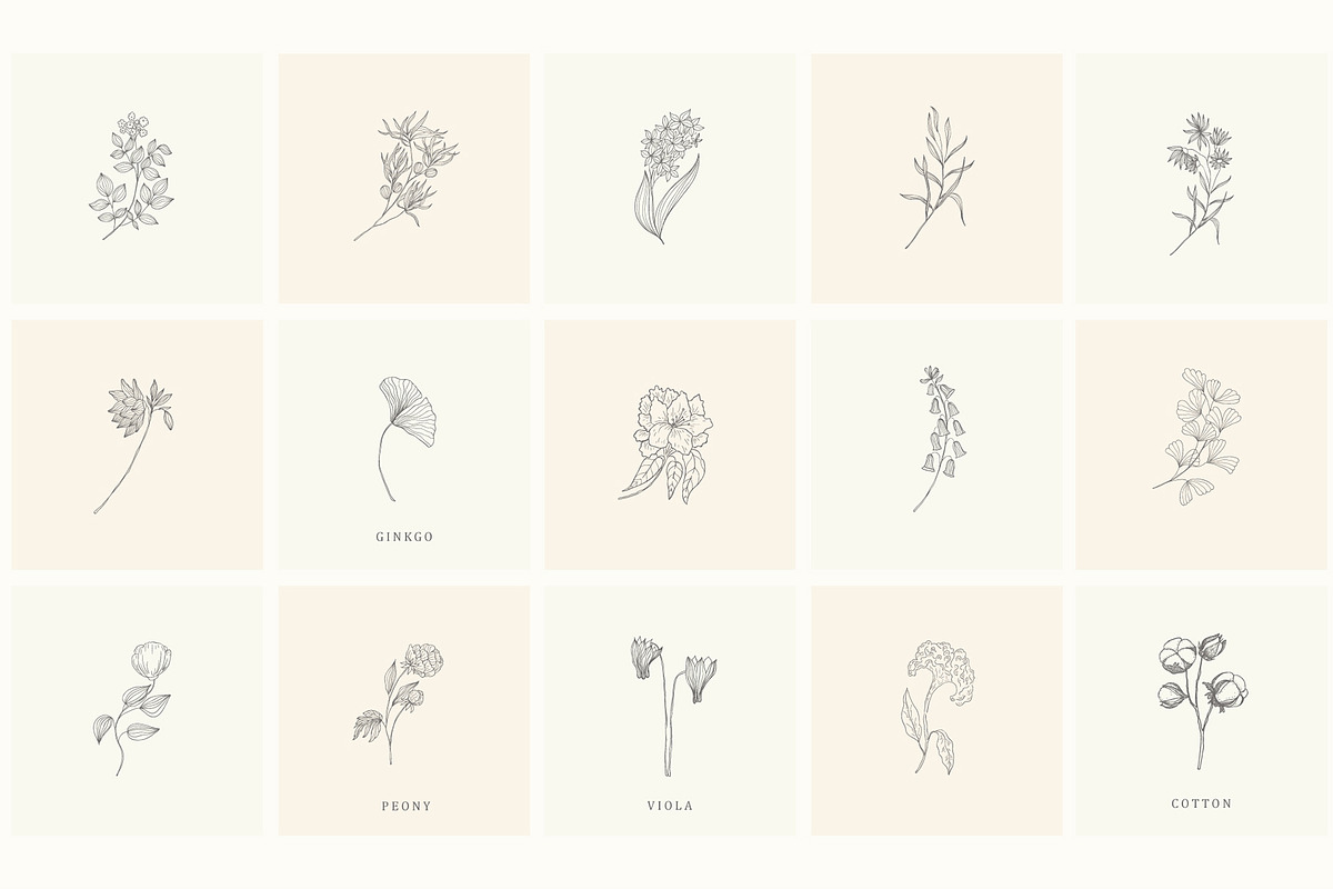 Botanical Hand Drawn Designs, Logos, a Seasonal Illustration by Designwork (Photo 21 of 22)