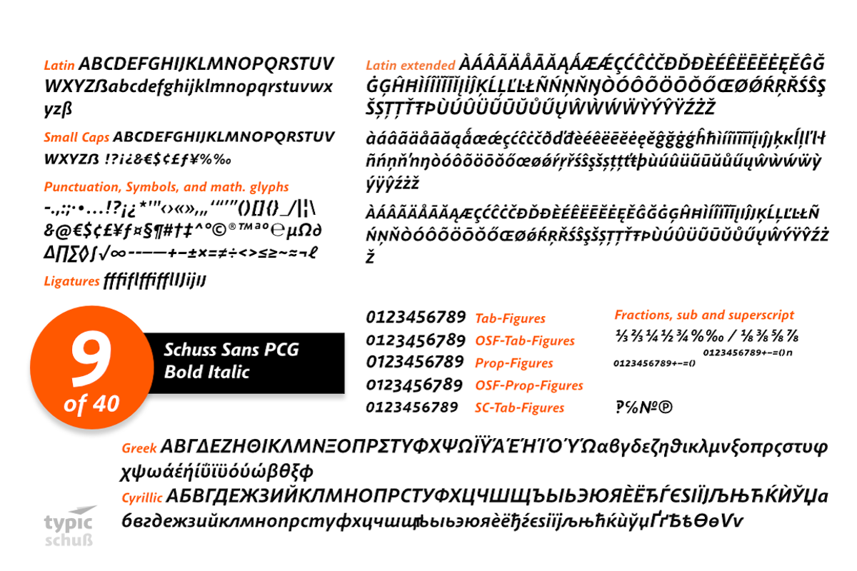 SchussSansPCGBoldIta No.09 (1 Font) preview 3