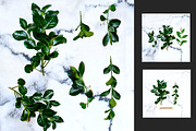 Greenery Leaf + Marble Mockup Pack, a Product Mockup by Aloha Philly (Thumbnail 3 of 6)