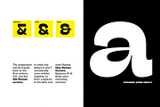 Stinger - 42 fonts, a Sans Serif Font by Zetafonts (Thumbnail 6 of 15)