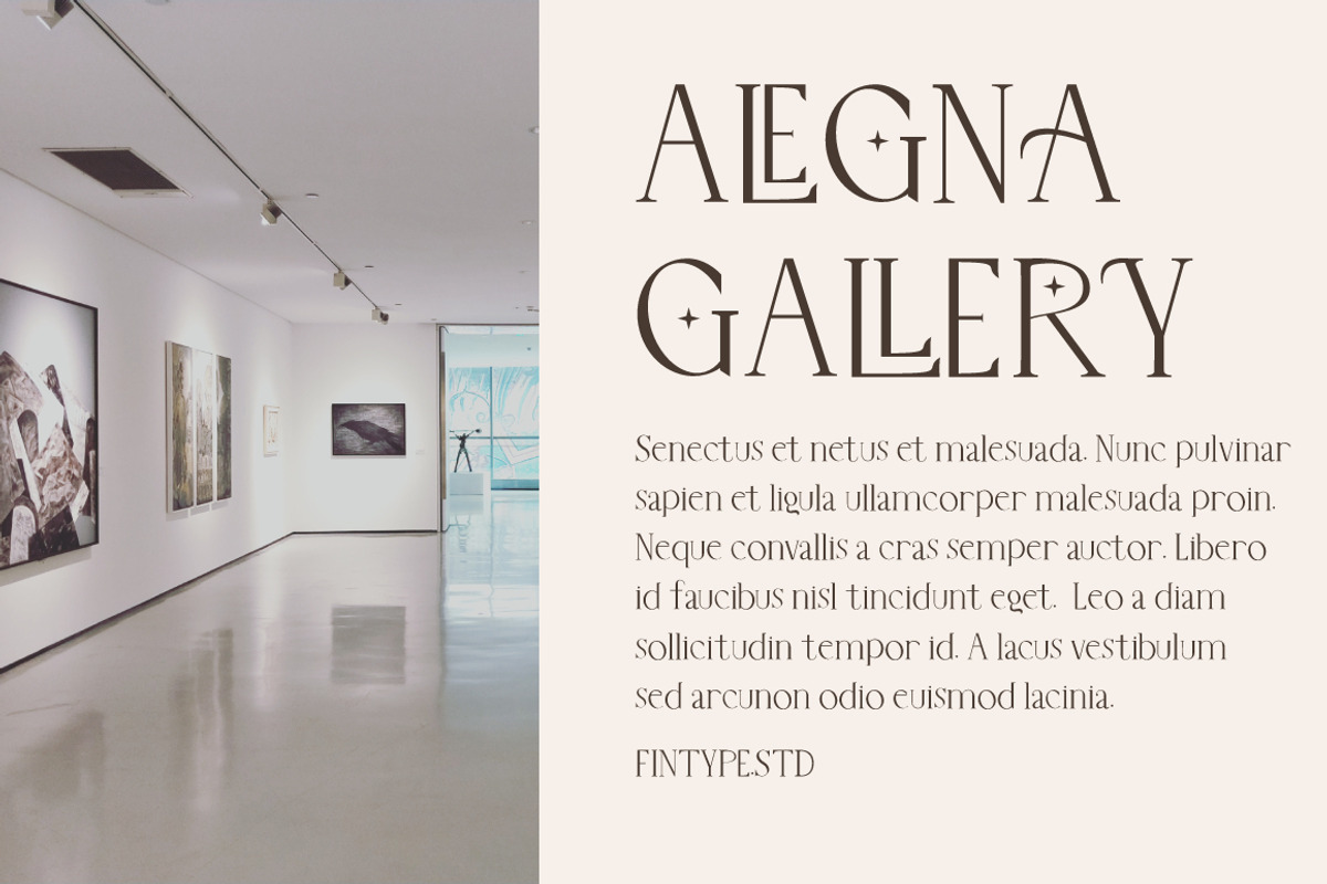 Belle Quest Stylish Serif, a Serif Font by KennedyStudio (Photo 2 of 10)