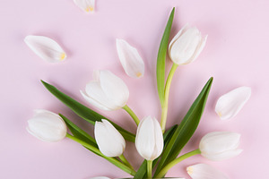 Spring Mug
