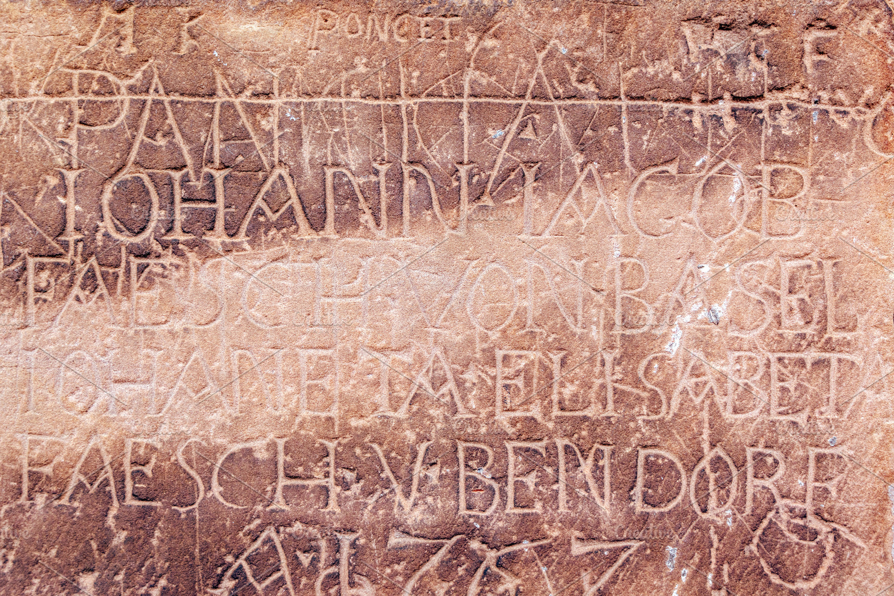 Historic engravings on stone wall of Strasbourg Cathedral, Franc, an Architecture Photo by GoodGoods